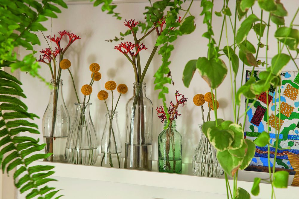urban jungle