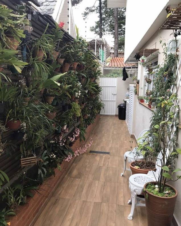 @orquidario_rhayd @orquidario_rhayd