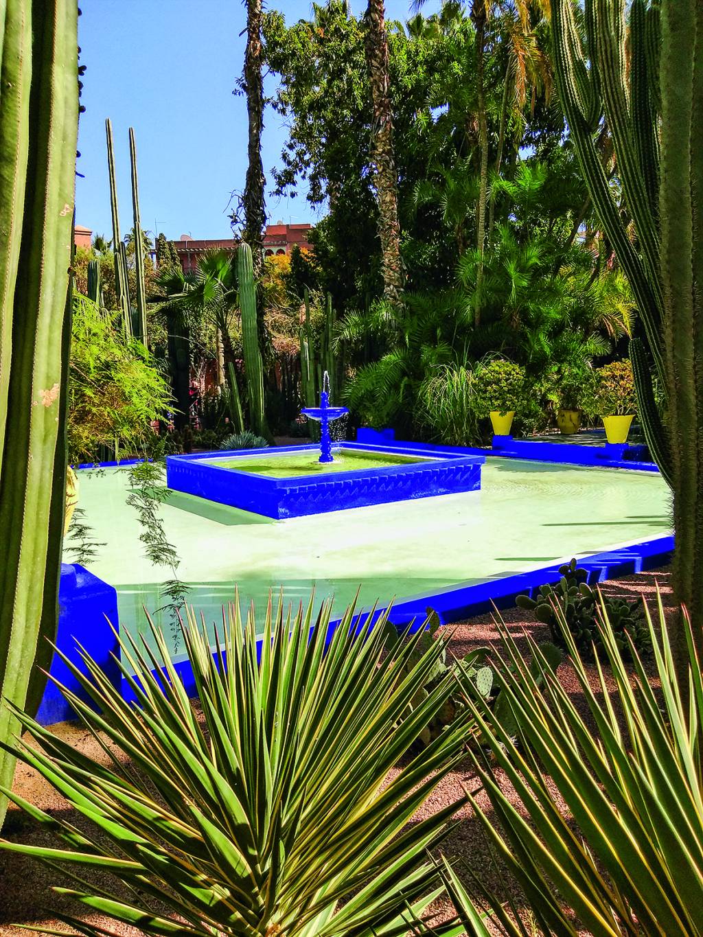Diário de viagem: profusão de cores e sensações retratam Marrocos Diário de viagem: profusão de cores e sensações retratam Marrocos