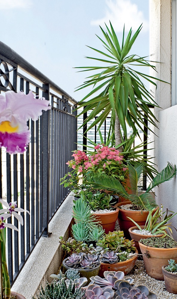 Paredes pretas e estampadas sao o destaque deste ape de 63 m² jardim2