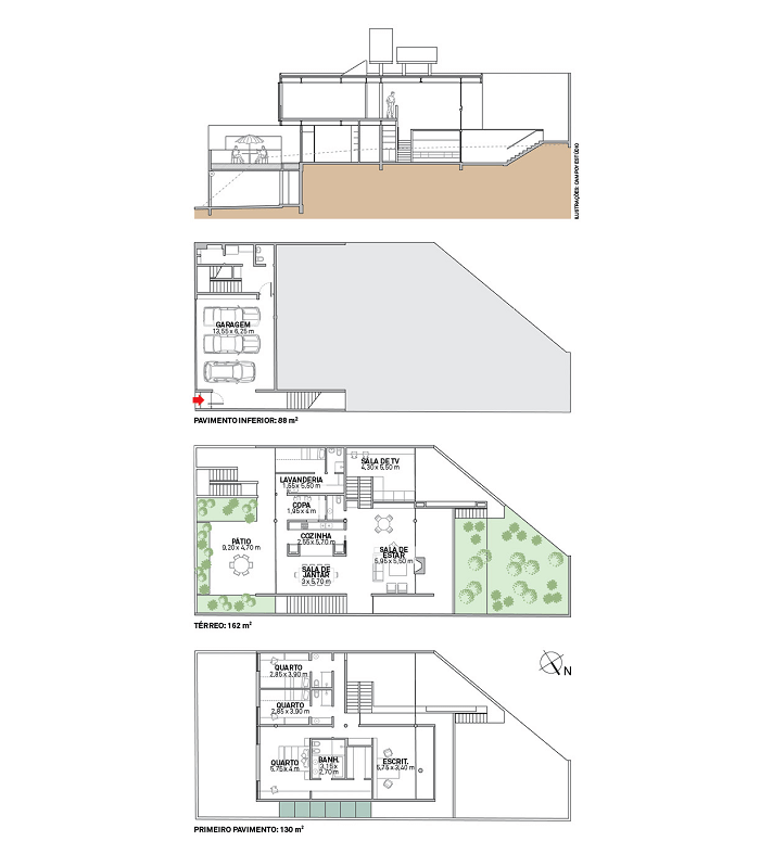 planta1