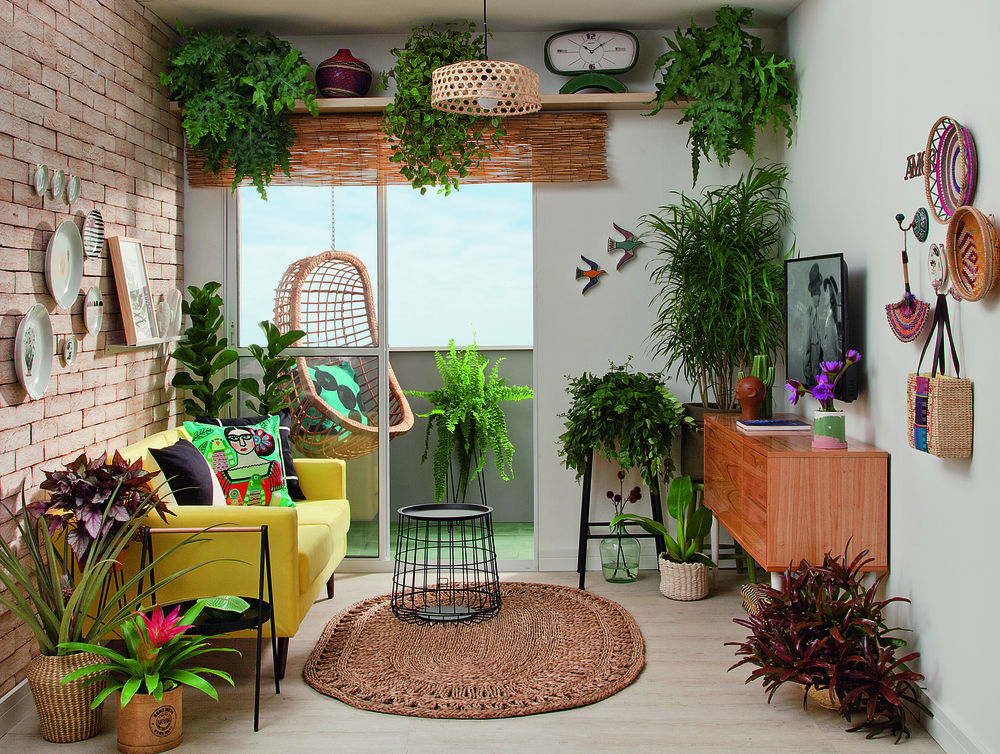 Tendência 'urban jungle' continua em alta; saiba como decorar a casa sem  gastar muito - Suas contas - Extra Online