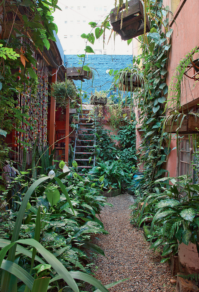 Sustentabilidade horta orgânica cultivada em caixotes e panelas jardim