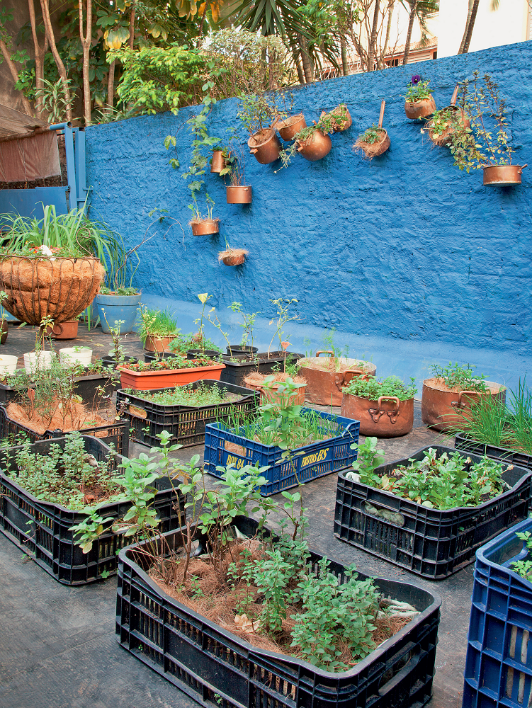 Sustentabilidade horta orgânica cultivada em caixotes e panelas terraço