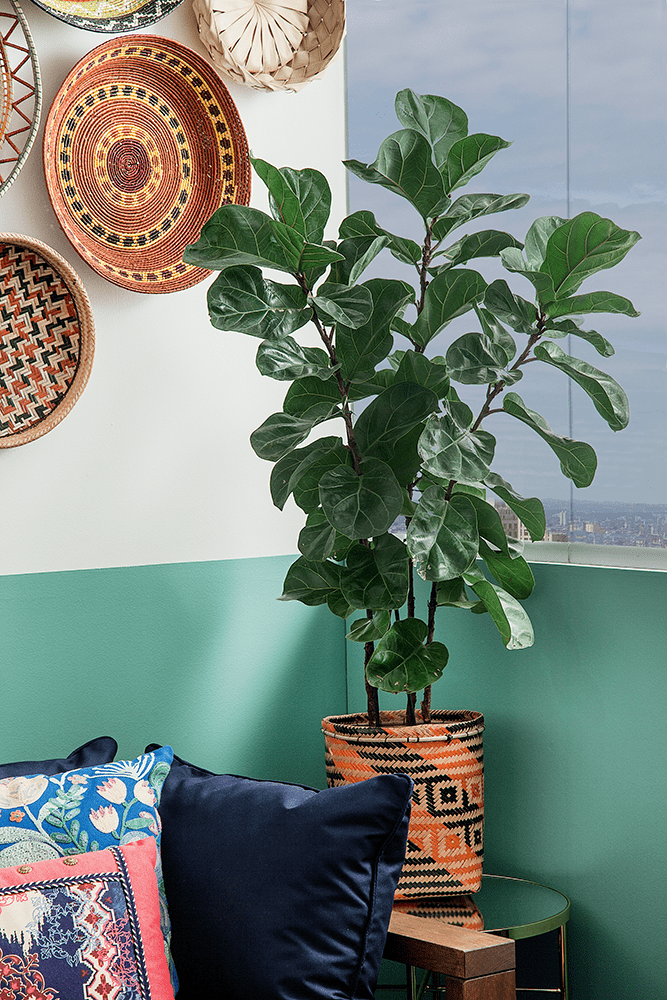 Varanda com decoração em estilo boho chic ficus lyrata