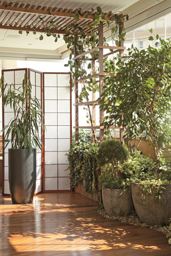 Varanda com jardim vira extensão da sala
