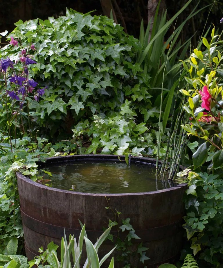 9 ideias para ter uma fonte charmosa no jardim