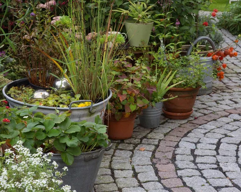 9 ideias para ter uma fonte charmosa no jardim