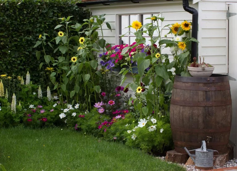 11 jeitos de criar jardins estreitos e aproveitar as laterais da casa
