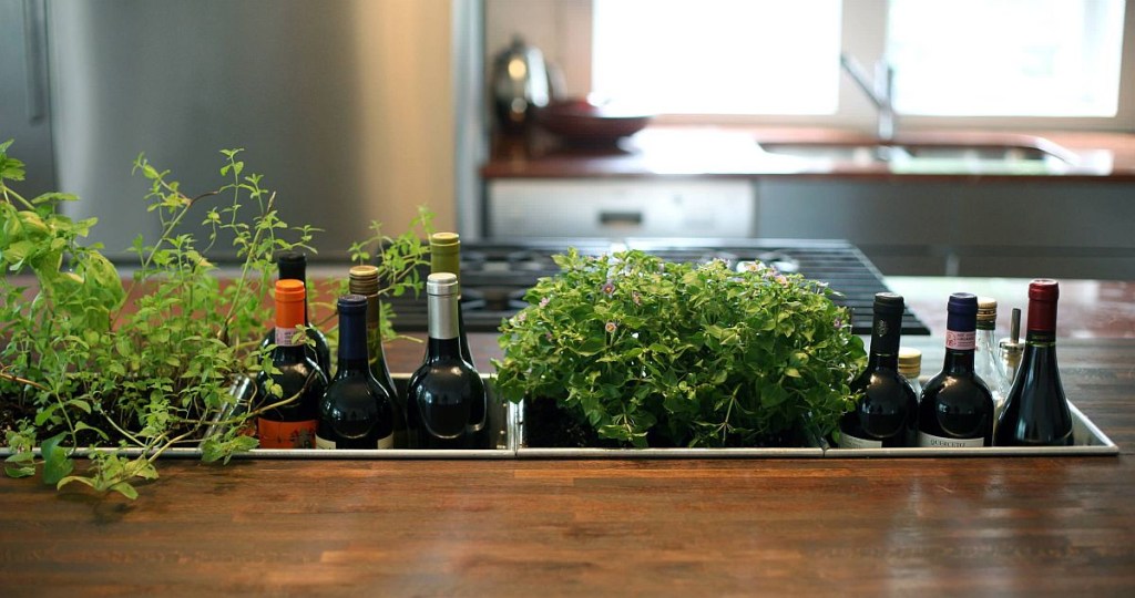 12-inspiracoes-para-criar-um-jardim-de-ervas-na-cozinha-casa.com-decoist-7-bonfigli-design cozinha