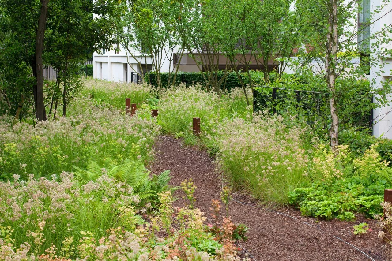13 ideias para criar um jardim sensorial casacombr gardeningetc 13 Vision Art NEWS