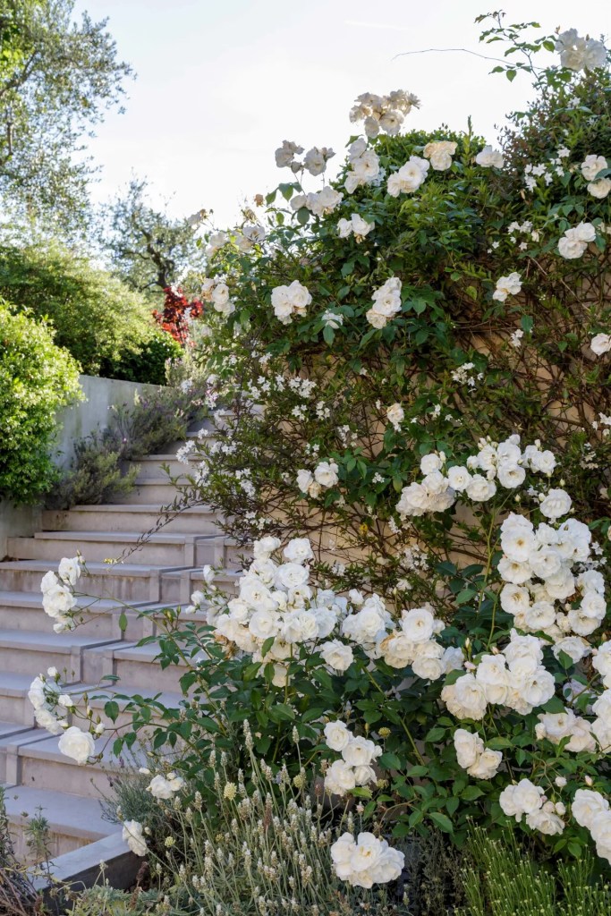 13-ideias-para-criar-um-jardim-sensorial-casacombr-gardeningetc-14