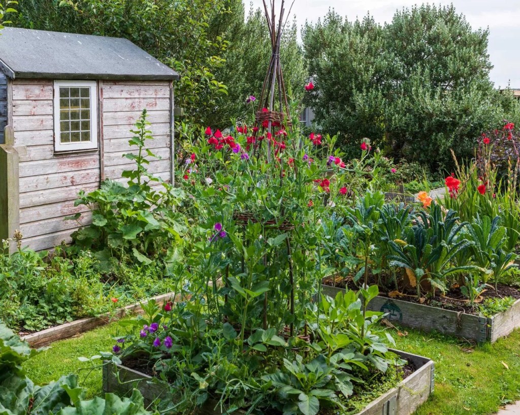 13-ideias-para-criar-um-jardim-sensorial-casacombr-gardeningetc-7