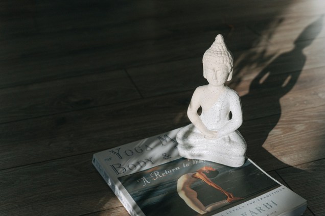 Coloque a estátua de Buda em uma parte da sua residência. Dizem que esfregar sua barriga resulta em riqueza, boa sorte e prosperidade. Pôsteres com gravuras também são uma ótima maneira de obter vibrações.