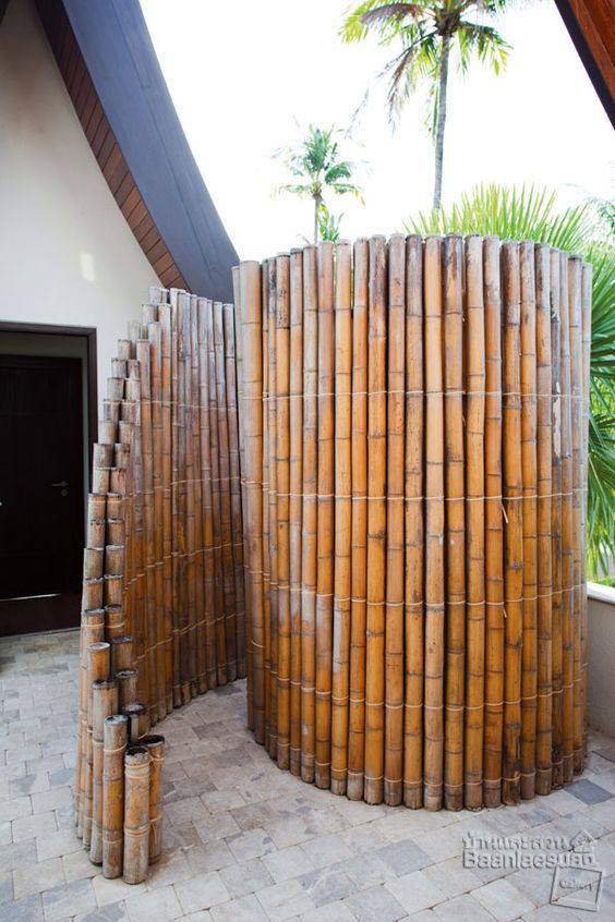 Expor o bambu em qualquer cômodo ou jardim oferece foco, tranquilidade e boa sorte.