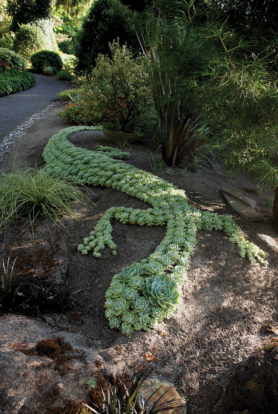 30 ideias incríveis de jardins com suculentas