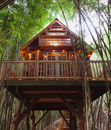 Série “Aluga-se um Paraíso”: casas na árvore para desfrutar a natureza