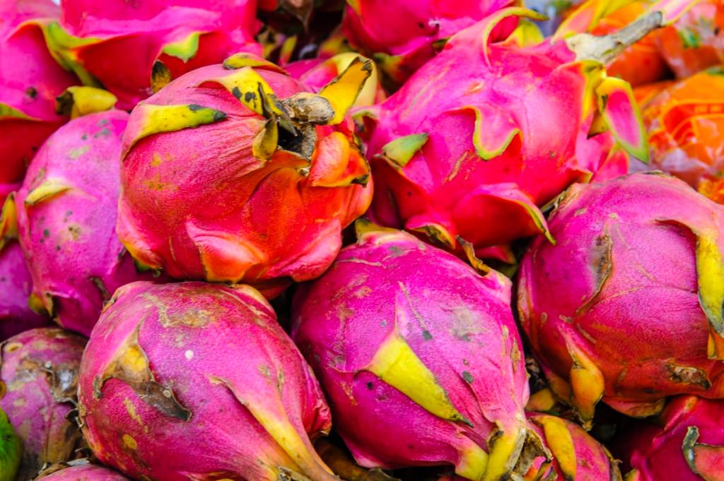 como-cultivar-pitaya-em-casa-casa.com-6-unsplash-alexander-schimmeck como-cultivar-pitaya-em-casa-casa.com-6-unsplash-alexander-schimmeck