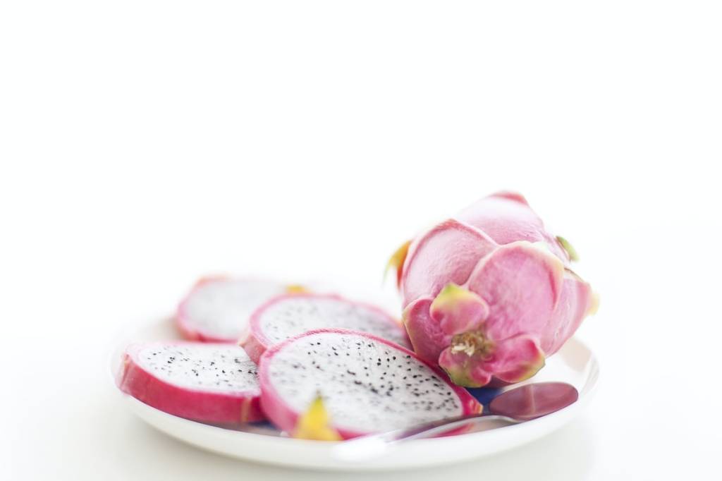 como-cultivar-pitaya-em-casa-casa.com-9-unsplash-ohtilly como-cultivar-pitaya-em-casa-casa.com-9-unsplash-ohtilly