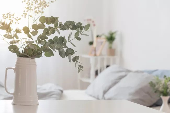 15-plantas-que-vao-deixar-sua-casa-super-cheirosa-casa.com-treehugger-4-maya23k-getty-images