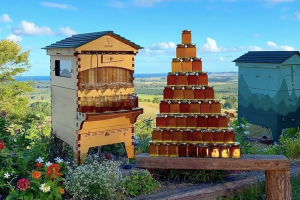 2-com-esta-casinha-de-abelhas-voce-pode-coletar-seu-proprio-mel