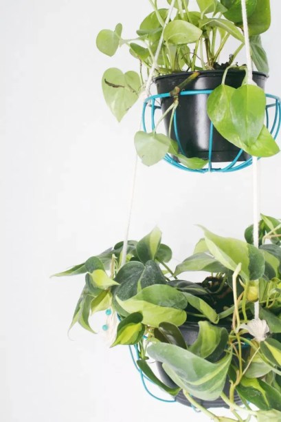 32 inspirações para pendurar suas plantas