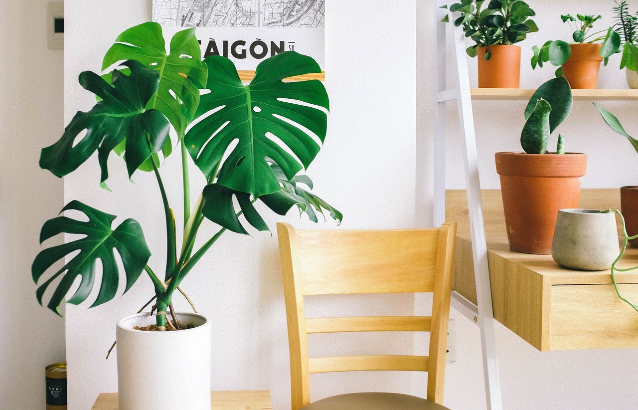 Alto Stand Walnut With Ergonomic Work Solutions