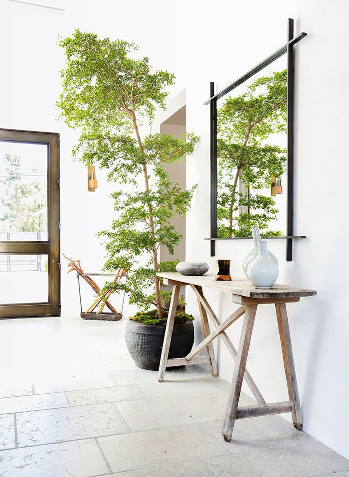 Incorpore-o-Feng-Shui-no-hall-de-entrada-e-dê-boas-vindas-às-good-vibes-02 Espaçoso hall com espelho e uma grande planta que atinge o teto do cômodo.