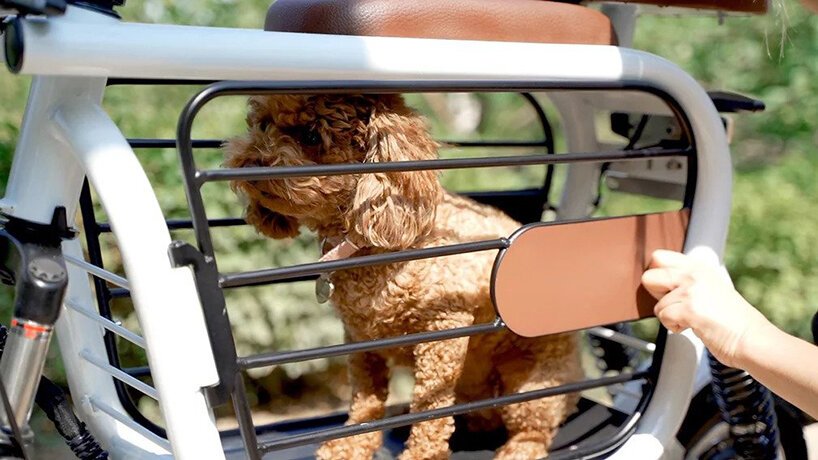 Cachorro pode andar de moto? Descubra se é permitido