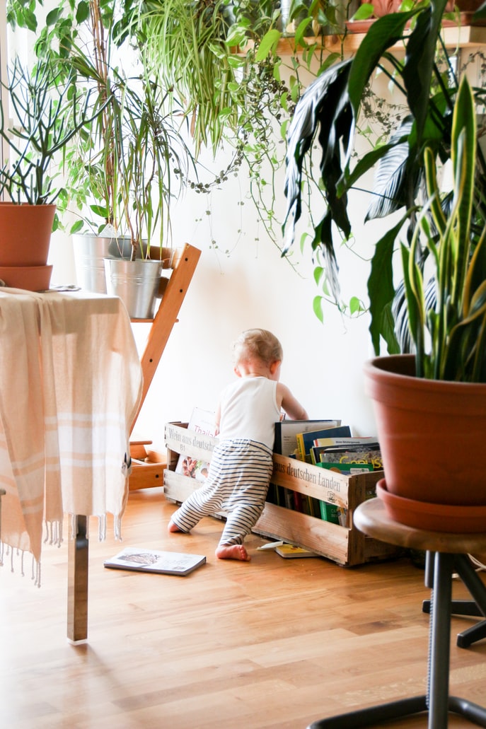 Verão: 5 dicas para deixar a casa mais fresca com plantas