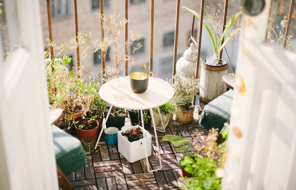 Verão: 5 dicas para deixar a casa mais fresca com plantas