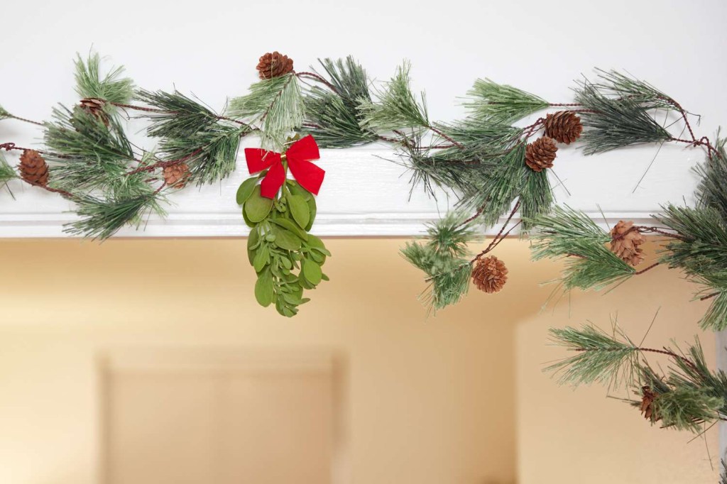 11-plantas-e-flores-para-cultivar-no-natal-the-spruce-3-margot-cavin