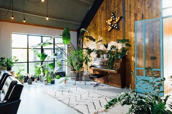 16-ideias-para-ter-um-jardim-dentro-do-seu-apartamento-casa.com-the-spruce-13-hugo-goudswaard-getty-images