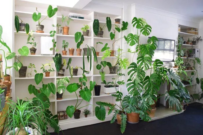 16-ideias-para-ter-um-jardim-dentro-do-seu-apartamento-casa.com-the-spruce-14-a-londoners-urban-jungle
