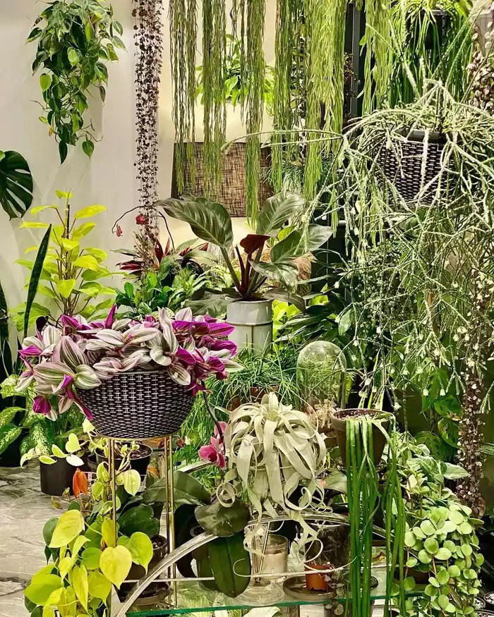 16-ideias-para-ter-um-jardim-dentro-do-seu-apartamento-casa.com-the-spruce-16-horticorti