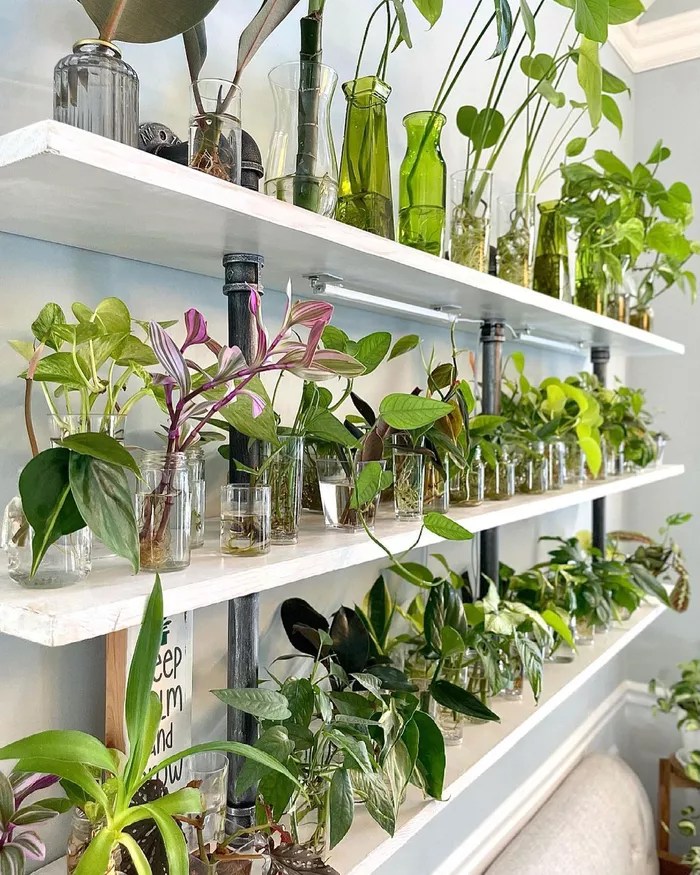 16-ideias-para-ter-um-jardim-dentro-do-seu-apartamento-casa.com-the-spruce-2-beautiful.therapy
