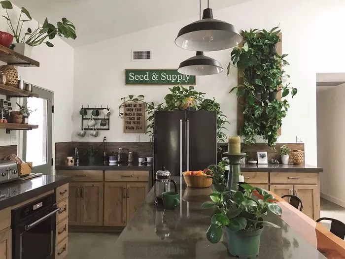 16-ideias-para-ter-um-jardim-dentro-do-seu-apartamento-casa.com-the-spruce-3-resplendent-life