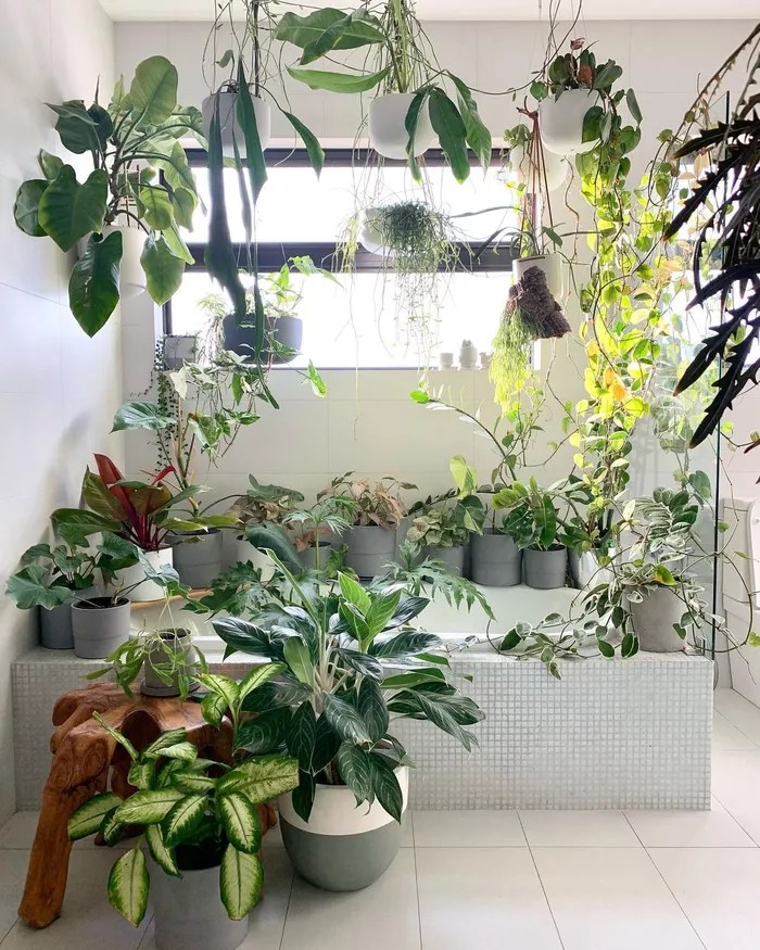 16-ideias-para-ter-um-jardim-dentro-do-seu-apartamento-casa.com-the-spruce-6-fesi__djojo