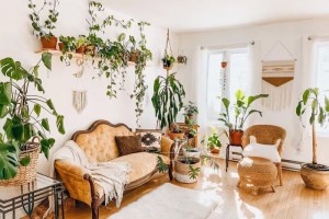 16-ideias-para-ter-um-jardim-dentro-do-seu-apartamento-casa.com-the-spruce-9-coffeeinmyjungle