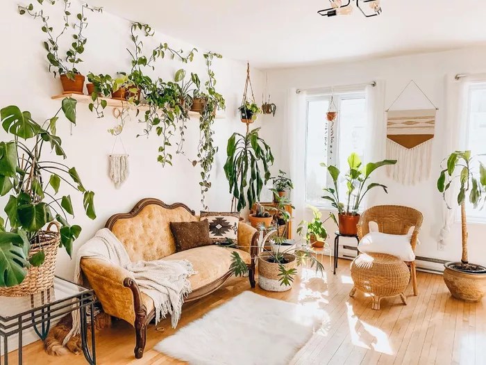 16-ideias-para-ter-um-jardim-dentro-do-seu-apartamento-casa.com-the-spruce-9-coffeeinmyjungle