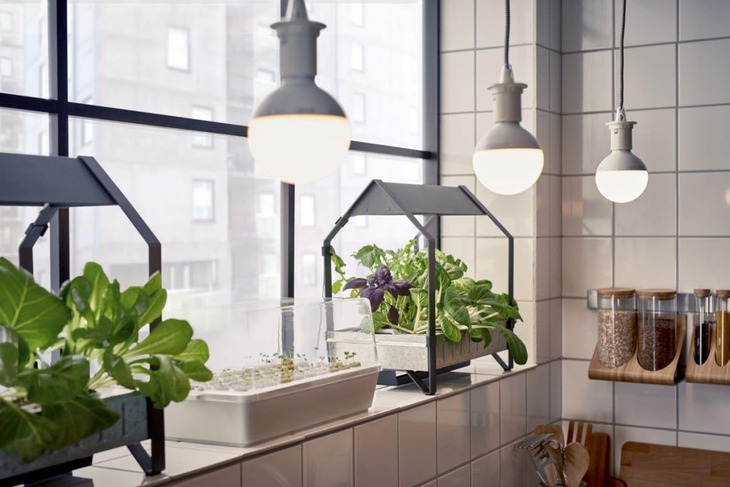 como-comecar-seu-jardim-hidroponico-casa.com-14-the-independent