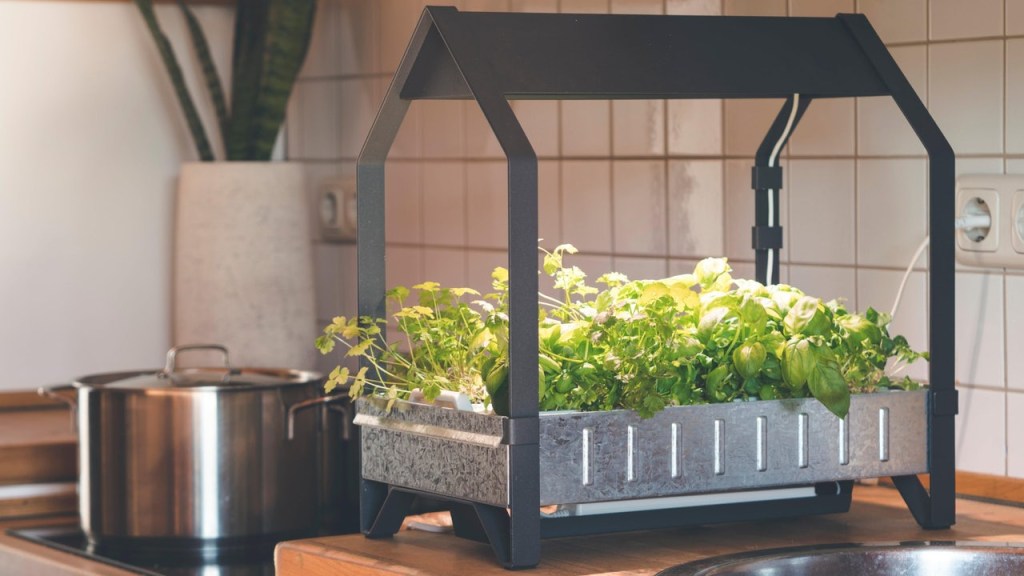 como-comecar-seu-jardim-hidroponico-casa.com-15-life-hacker-australia