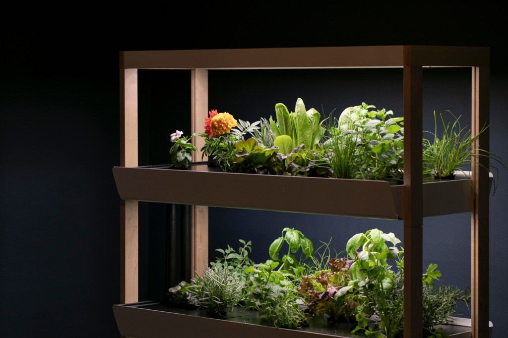como-comecar-seu-jardim-hidroponico-casa.com-4-wired-rise-gardens
