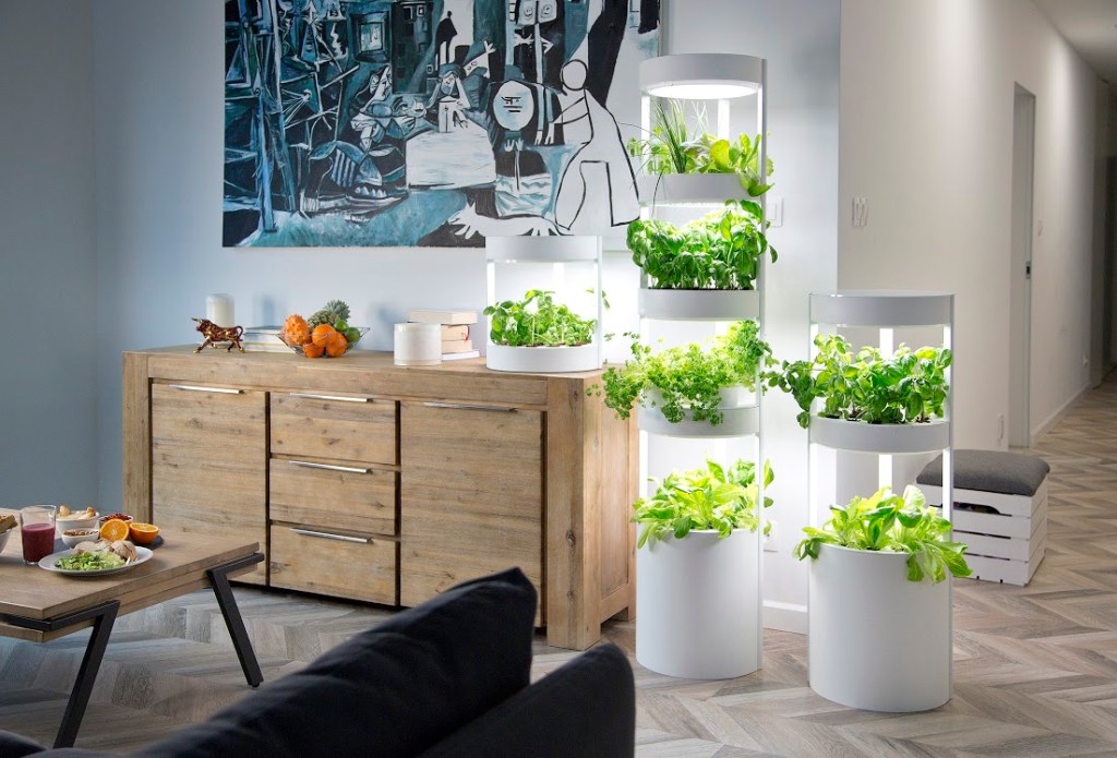 como-comecar-seu-jardim-hidroponico-casa.com-9-the-spoon