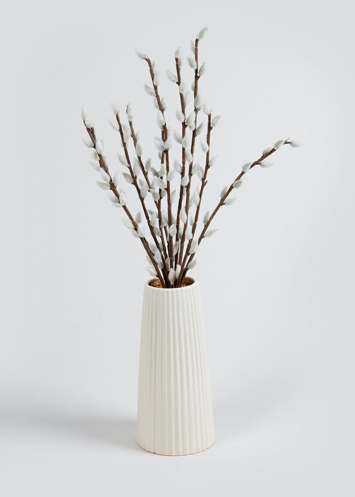 5-plantas-para-celebrar-a-chegada-do-ano-do-tigre-casa.com-salgueiro-salix-matalan
