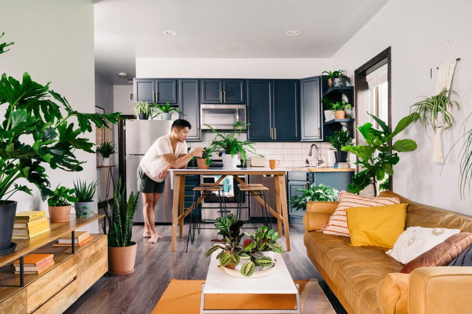 Como ter muitas plantas mesmo com pouco espaço