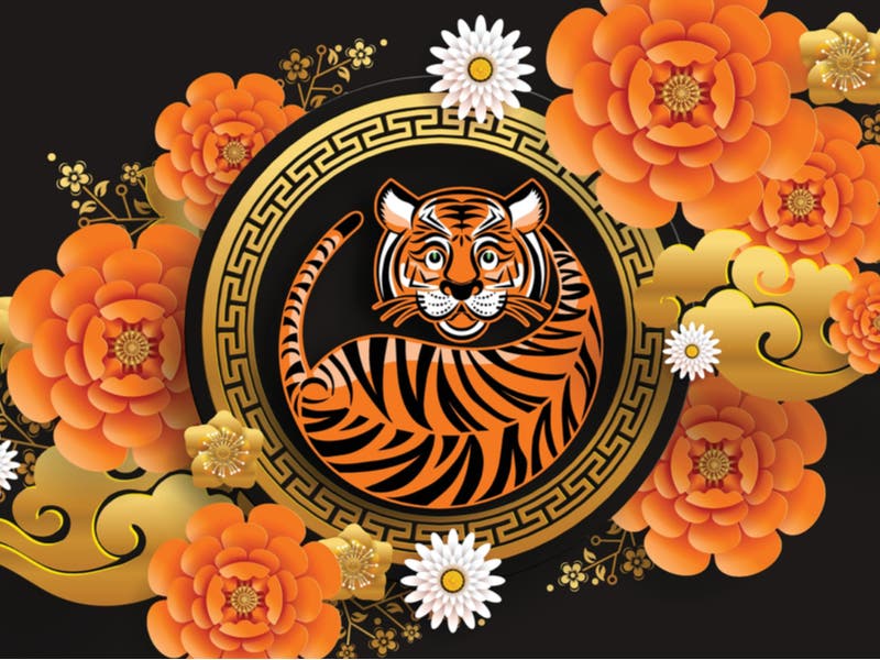 ano-do-tigre Ano do tigre