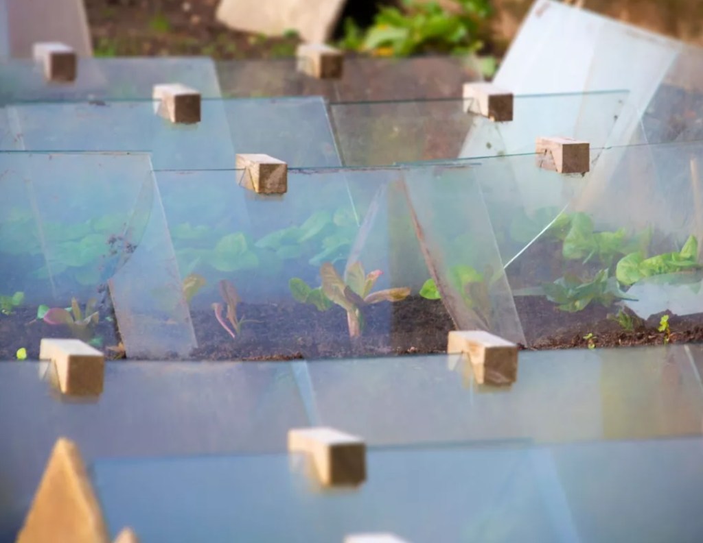mini-estufa-diy-Brett Charlton-iStock-Getty Images Plus