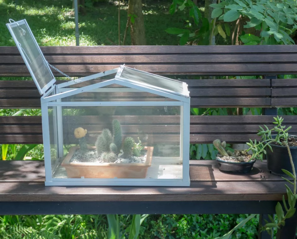 mini-estufa-diy-Nalinratphi-iStock-Getty Images Plus