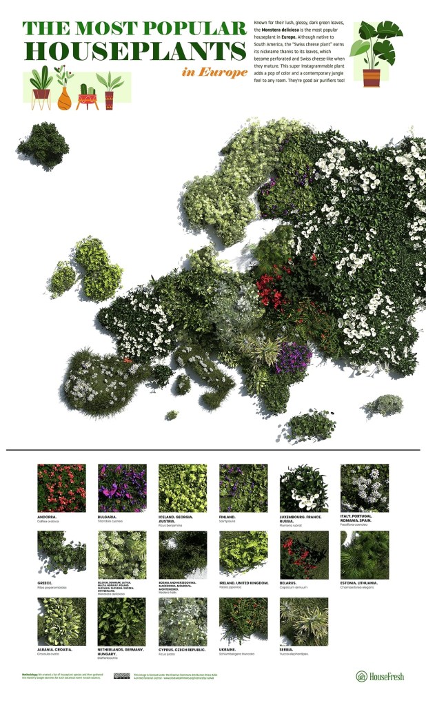 19-plantas-preferidas-de-cada-continente-casa.com-mapa-de-plantas-europa-ingles-house-fresh